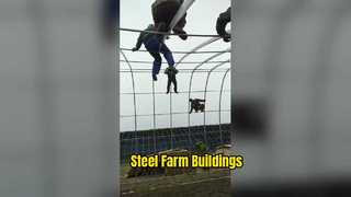Steel Ag Buildings: Grow More, Store More
